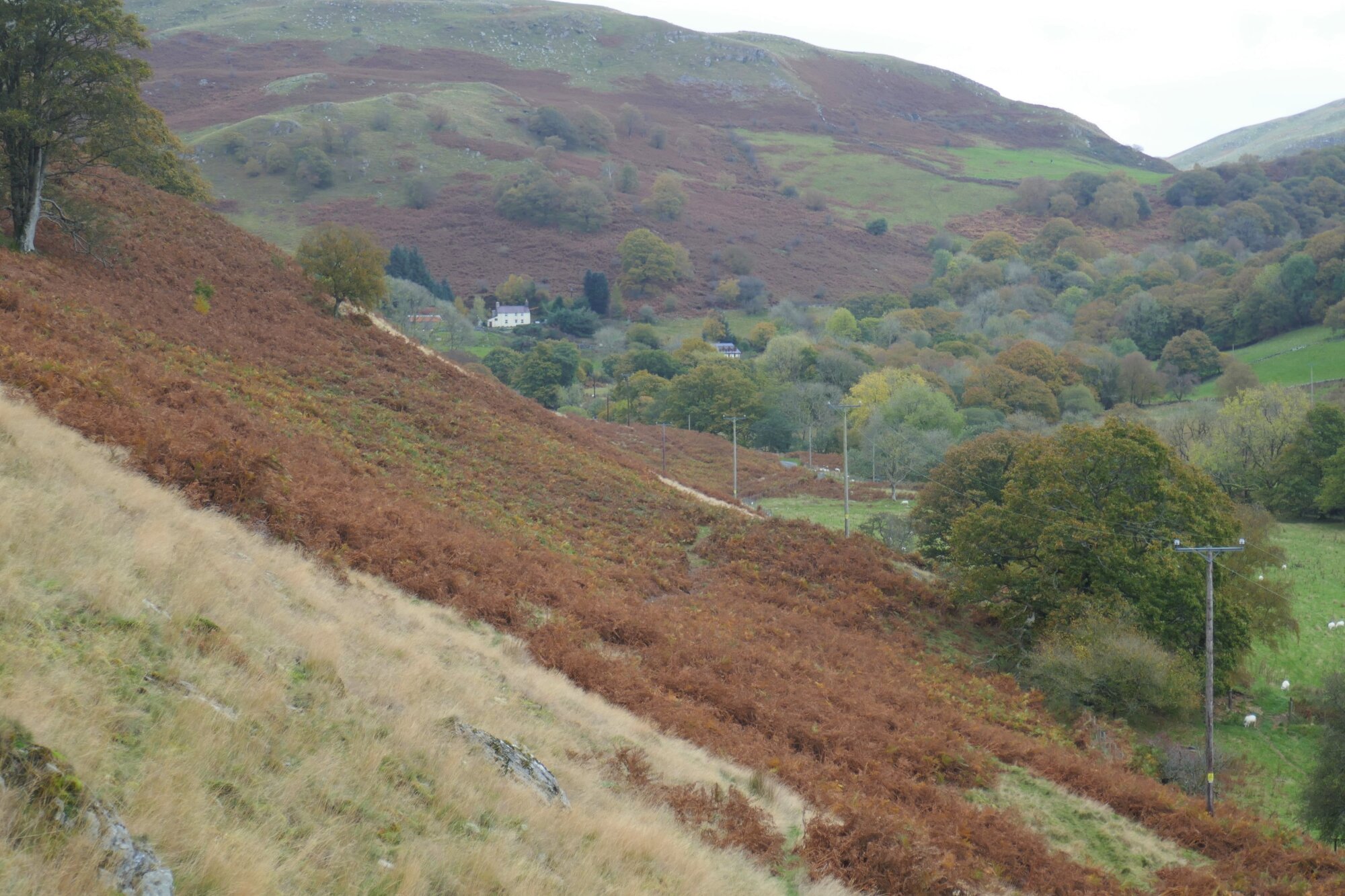 RachelSeabrook.net | Wild Walking | Teifi Pools | pic47